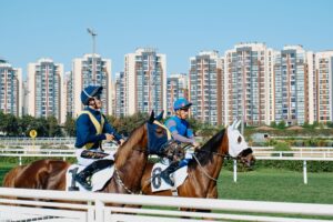 Prix de l’Arc de Triomphe 2026 : Daryz réalise le doublé, l’arrivée et le résultat à ParisLongchamp